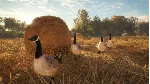 theHunter: Call of the Wild|АВТОДОСТАВКА RU Steam Gift - irongamers.ru