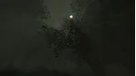 NO STRANGERS * STEAM РОССИЯ ⚡ АВТОДОСТАВКА 💳 0% КАРТЫ