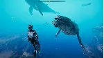 ✅ Beyond Blue Xbox One & Xbox Series X|S активация