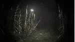Unknown Tapes 💎 АВТОДОСТАВКА STEAM GLOBAL МГНОВЕННО ЛИЦЕНЗИЯ