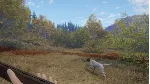 theHunter: Call of the Wild- German Shorthaired Point - irongamers.ru