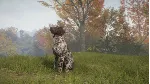 theHunter: Call of the Wild- German Shorthaired Point - irongamers.ru