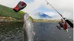 Real VR Fishing АВТОДОСТАВКА STEAM GLOBAL МГНОВЕННО ЛИЦЕНЗИЯ - irongamers.ru