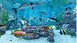 Real VR Fishing АВТОДОСТАВКА STEAM GLOBAL МГНОВЕННО ЛИЦЕНЗИЯ - irongamers.ru