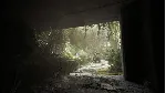Ready or Not: Dark Waters| АВТОДОСТАВКА RU Steam Gift - irongamers.ru