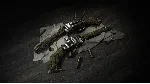 Hunt: Showdown 1896 - Собиратель Трофеев XBOX - irongamers.ru