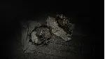 Hunt: Showdown 1896 - Taker of Trophies DLC - STEAM RU