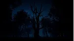 ✅ Slender: The Arrival Xbox Series X|S активация