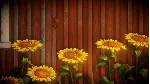 ✅ Unravel 🟠 EA APP🔑 КЛЮЧ🌎 РФ+ВЕСЬ МИР +🎁 