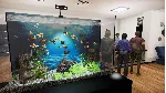 Aquatic Store Simulator КЛЮЧ🔑 STEAM ВСЕ СТРАНЫ