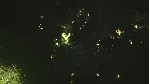Annihilate The Spance 💎 АВТОДОСТАВКА STEAM GLOBAL МГНОВЕННО ЛИЦЕНЗИЯ