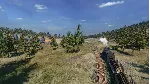 ✅ Railway Empire 2 Xbox One & Xbox Series X|S активация