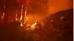 Icarus * STEAM RU*KZ*UA*СНГ - irongamers.ru