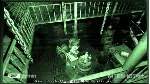 The Lost Crown (STEAM key /region free)