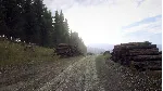 Dirt Rally 2.0 - Wales Rally DLC * STEAM RU*KZ*UA*СНГ