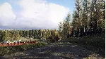 DiRT Rally 2.0 - Finland (Rally Location) DLC
