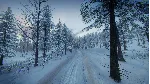 DiRT Rally 2.0 - Sweden (Rally Location) DLC