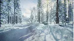 DiRT Rally 2.0 - Sweden (Rally Location) DLC