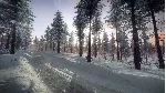 DiRT Rally 2.0 - Sweden (Rally Location) DLC