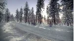 DiRT Rally 2.0 - Sweden (Rally Location) DLC