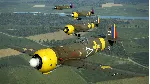IL-2 Sturmovik: I.A.R. 80-A and 80-B Collector Planes D - irongamers.ru