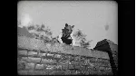 Cat Detective Albert Wilde 💎 АВТОДОСТАВКА STEAM GLOBAL МГНОВЕННО ЛИЦЕНЗИЯ