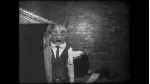 Cat Detective Albert Wilde 💎 АВТОДОСТАВКА STEAM GLOBAL МГНОВЕННО ЛИЦЕНЗИЯ