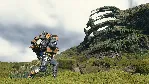 DEATH STRANDING DIRECTORS CUT XBOX - irongamers.ru