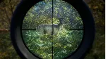 theHunter: Call of the Wild Steam АККАУНТ +ПОЧТА - irongamers.ru
