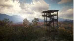 theHunter: Call of the Wild Steam АККАУНТ +ПОЧТА - irongamers.ru