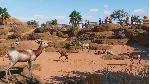 Planet Zoo: Arid Animal Pack DLC * STEAM RU*KZ*UA*СНГ - irongamers.ru