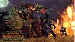 ⭐ Total War: Warhammer - Call of the Beastmen DLC Steam - irongamers.ru