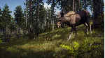 Way of the Hunter (STEAM КЛЮЧ) РФ+КЗ+СНГ | РУССКИЙ ЯЗЫК