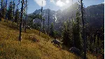 Way of the Hunter (STEAM КЛЮЧ) РФ+КЗ+СНГ | РУССКИЙ ЯЗЫК