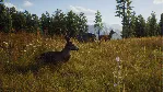 Way of the Hunter (STEAM КЛЮЧ) РФ+КЗ+СНГ | РУССКИЙ ЯЗЫК