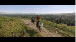 Kingdom Come: Deliverance II XBOX ключ сразу