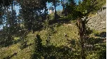 ⭐ theHunter: Call of the Wild - Te Awaroa National Park - irongamers.ru