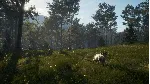 ⭐ theHunter: Call of the Wild - Te Awaroa National Park - irongamers.ru
