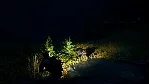 ⭐ Open Country Steam КЛЮЧ GLOBAL - irongamers.ru