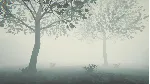 ⭐Depths Of Horror: Mushroom Day Steam КЛЮЧ GLOBAL - irongamers.ru