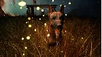 ⭐HOPE VR: Progressive Meditation Steam КЛЮЧ GLOBAL - irongamers.ru