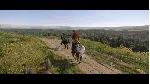 ✅ Kingdom Come: Deliverance II Xbox активация