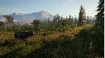 ⭐ theHunter: Call of the Wild Diamond Bundle Steam КЛЮЧ - irongamers.ru