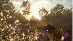 ⭐ theHunter: Call of the Wild - Mississippi Acres Prese - irongamers.ru