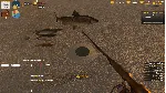 Arctic Motel Simulator 💎 АВТОДОСТАВКА STEAM GLOBAL МГНОВЕННО ЛИЦЕНЗИЯ
