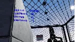 ⭐ Flying Carpets Over Shark Infested Waters Steam КЛЮЧ - irongamers.ru