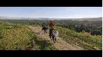 🌍 Kingdom Come: Deliverance II Xbox Series X|S КЛЮЧ🔑 