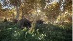 ⭐theHunter: Call of the Wild USA Steam КЛЮЧ АРГЕНТИНА - irongamers.ru