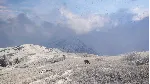 ⭐ theHunter: Call of the Wild - Sundarpatan Nepal Hunti - irongamers.ru