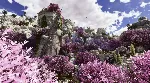 ARK: Astraeos XBOX На Любой Регион